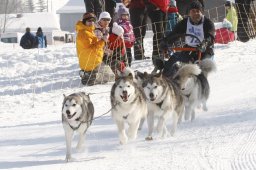 Lenk 2012 SM